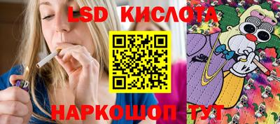 индика Заволжье