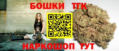 индика Заволжье