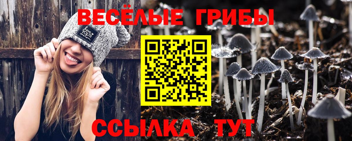 Псилоцибиновые грибы мухоморы  Вход с VPN  Галлюциногенные грибы мицелий  Ессентуки 